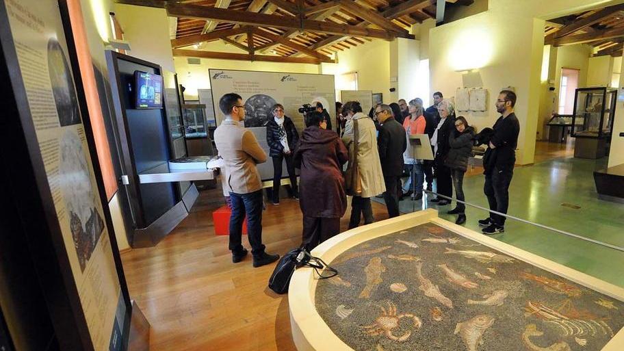 Per “Il mosaico dei pesci” breve trasloco a Ravenna