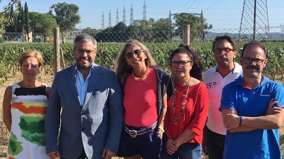 Progetto Terna, 5 Stelle in aiuto del Comitato salute e ambiente
