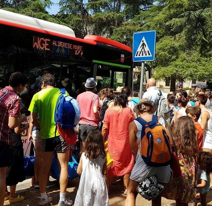 Meno corse in bus per il mare Protesta la Pro Loco Alberese