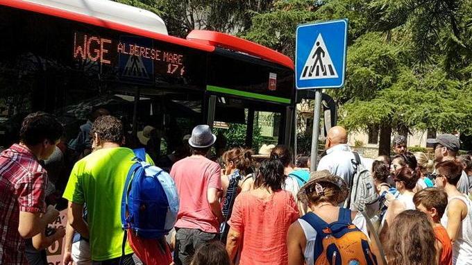 Meno corse in bus per il mare Protesta la Pro Loco Alberese