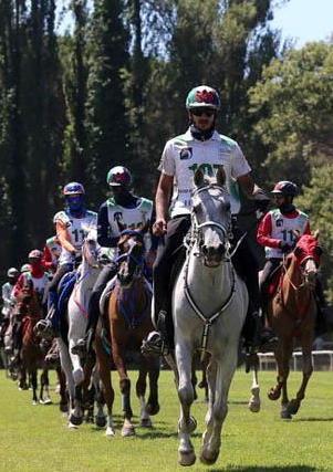 A San Rossore cinque giorni di super gare a cavallo 