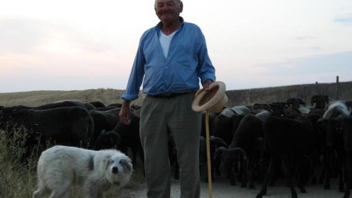 Il pastore Sandro Galloni con il cane Marziano e il suo gregge