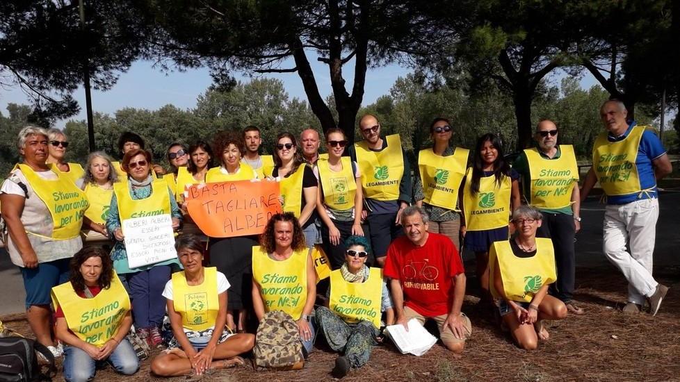 «Gli alberi e le ciclabili devono coesistere» Legambiente protesta