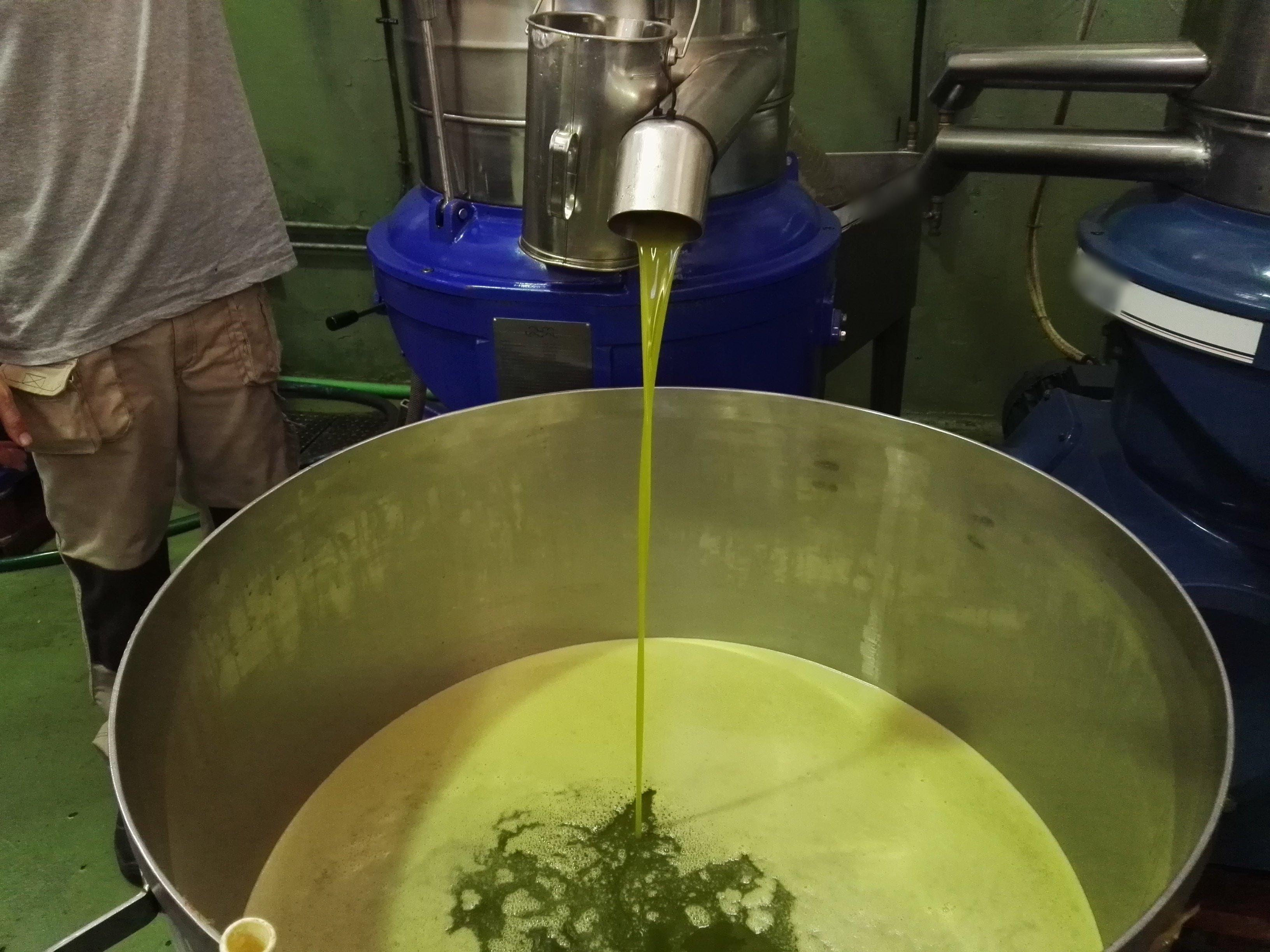 Olio extravergine contraffatto: arresti e indagati anche in Toscana. Le indagine partite da una trattoria