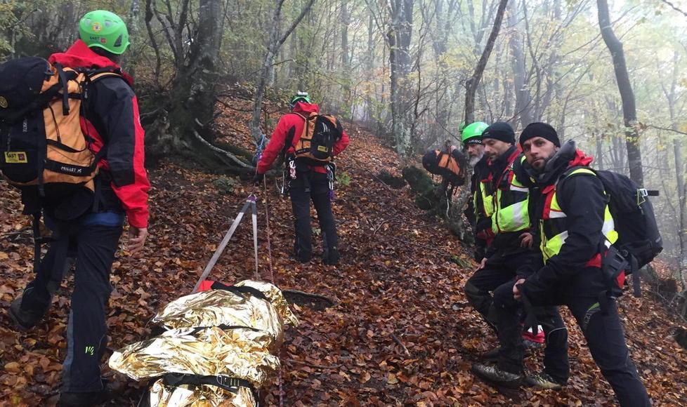 Andare a funghi, impresa da Indiana Jones: i pericoli del bosco e le regole da rispettare 