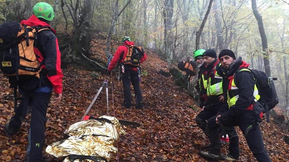 Andare a funghi, impresa da Indiana Jones: i pericoli del bosco e le regole da rispettare