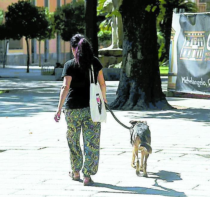 «Piazza D’Armi, l’ordinanza di De Pasquale va annullata»
