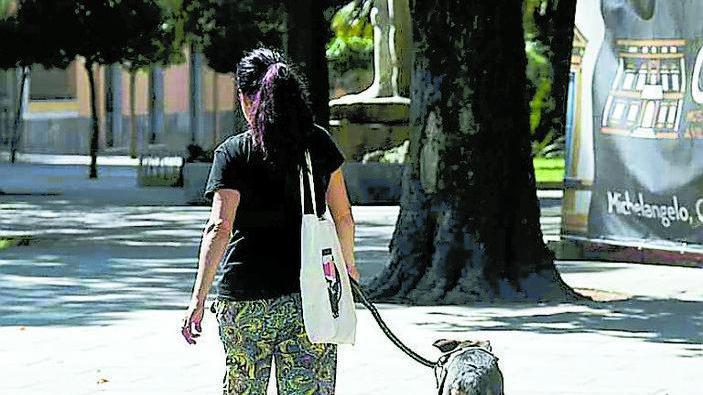 «Piazza D’Armi, l’ordinanza di De Pasquale va annullata»