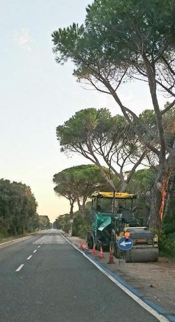 Cantiere sulla Principessa