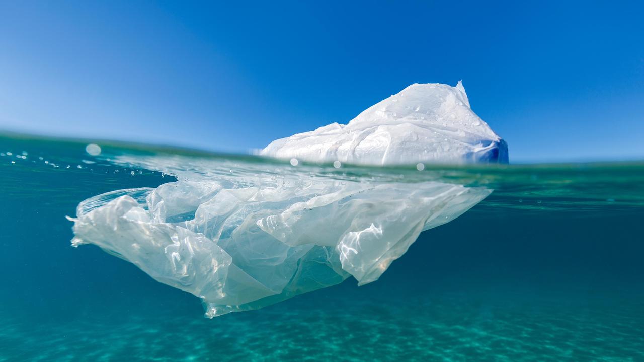 La difesa dell’ambiente fa scuola: come sensibilizzare i giovani per un futuro migliore