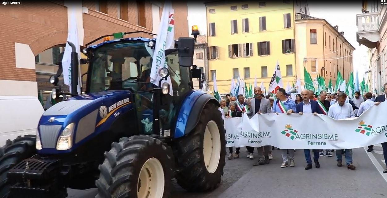 Cimice asiatica, a Ferrara sfilano gli agricoltori