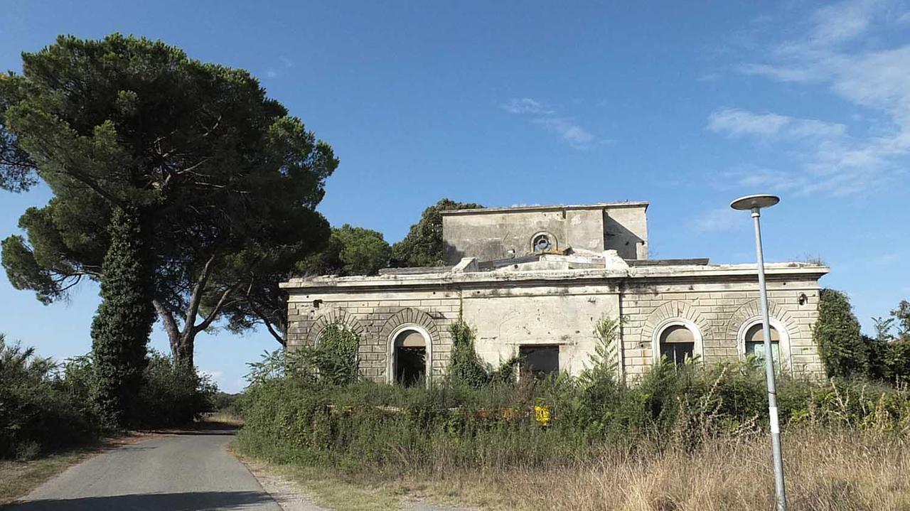 La stazione Marconi avvolta dalla vegetazione
