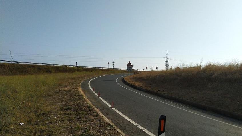Un maxi cinghiale sbuca per strada e travolge l’auto dell’esponente Wwf