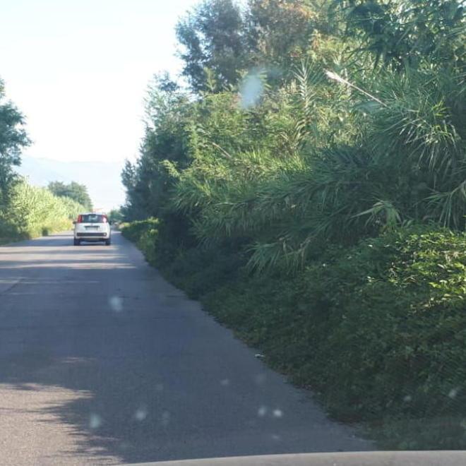 Erba alta lungo la via e scarsa sicurezza