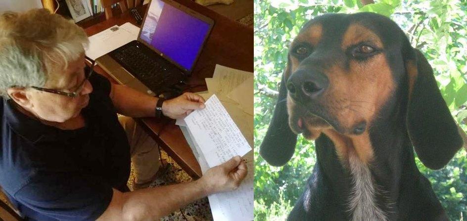 A sinistra, Costantino Paolicchi mostra le lettere anonime ricevute. A destra: il segugio Pippo, ucciso da uno sconosciuto