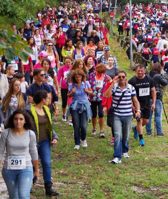 Tutti nella natura con FrancigenAmica 