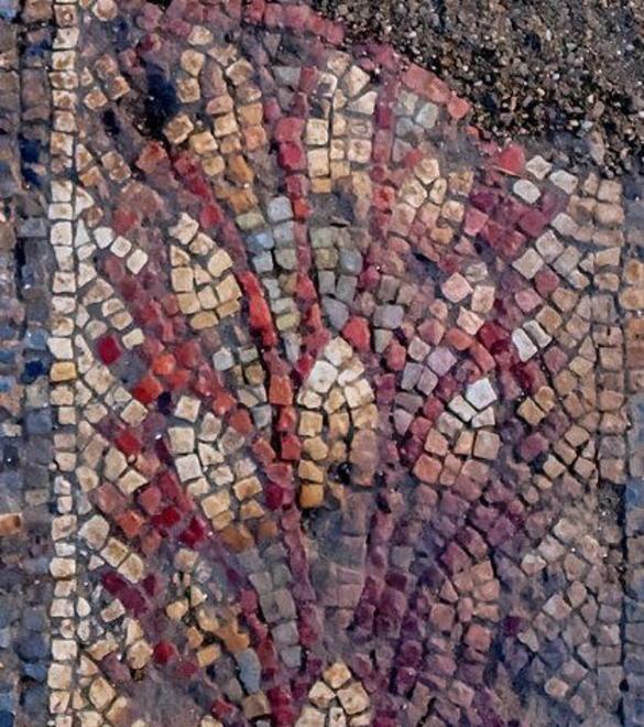 Sui social si postano immagini del mosaico 