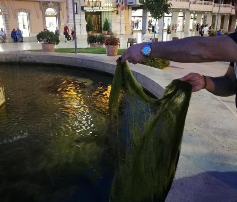 Acqua verde, oggi la pulizia