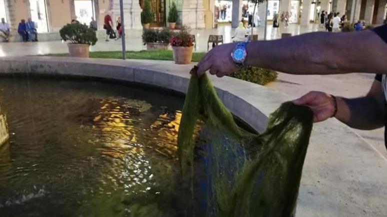 Acqua verde, oggi la pulizia
