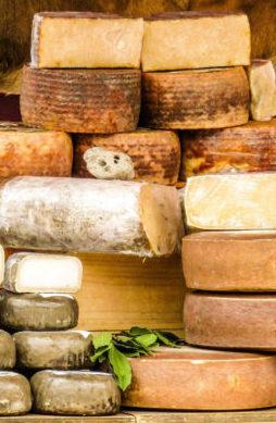 Formaggi a Bra per “Cheese”