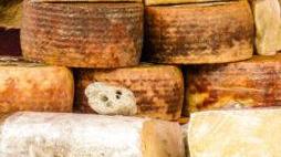 Formaggi a Bra per “Cheese”