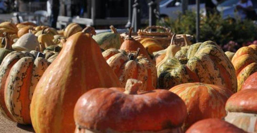 La zucca assoluta regina a tavola ma non solo nel week end a Reggiolo 