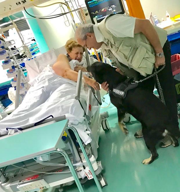 Riabbraccia il cane dopo il salvataggio per emorragia digestiva 