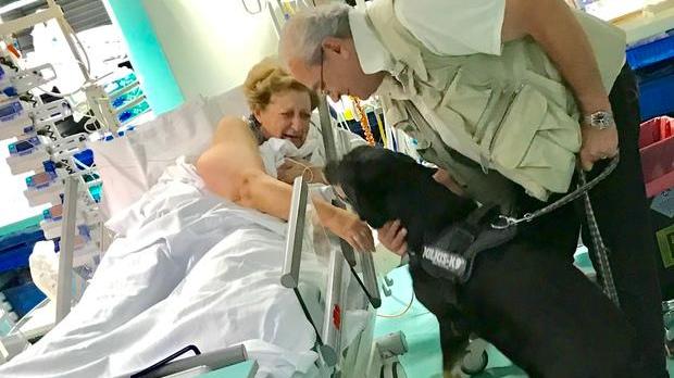 Riabbraccia il cane dopo il salvataggio per emorragia digestiva