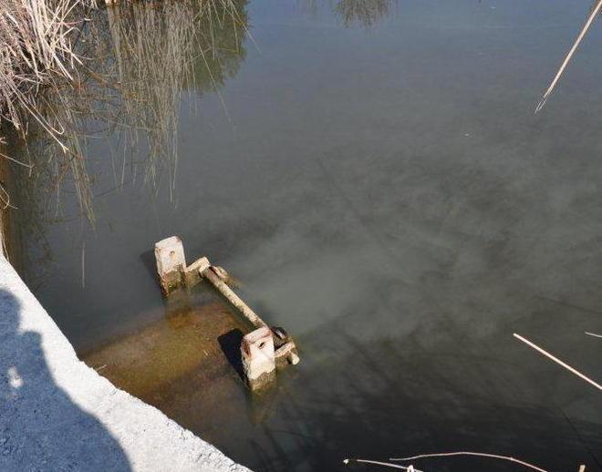 Scarico misterioso nel lago Interviene la Capitaneria 