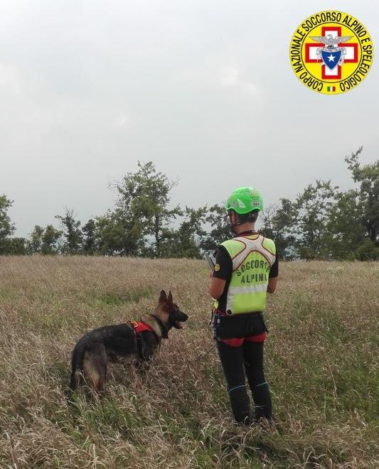Cercano i funghi e si perdono Trovati dai cinofili del Saer 
