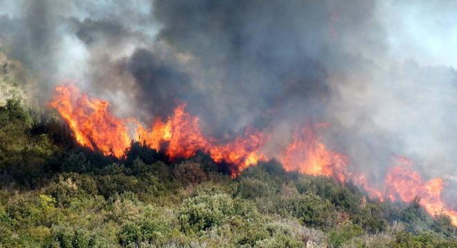 Fuoco vicino alle case, paura nella notte 