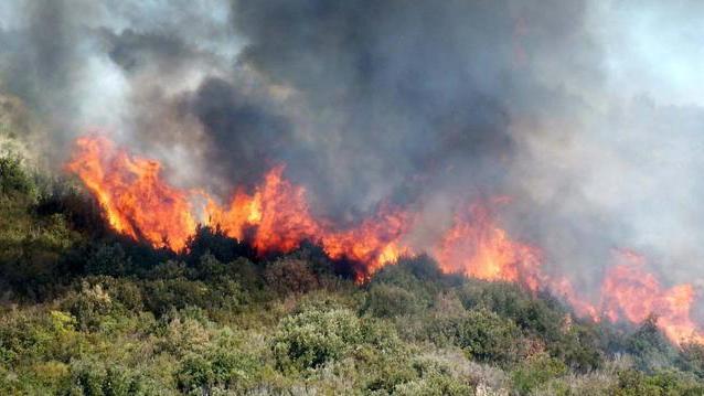 Fuoco vicino alle case, paura nella notte