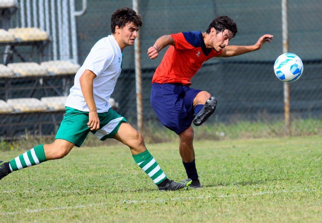 Foto d'archivio