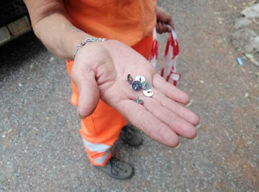 Livorno, Villa Maria disseminata con le puntine: «Volevano fare del male ai cani nel parco» 