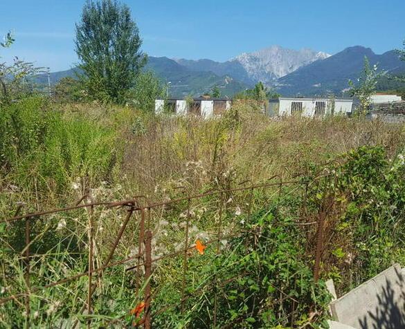 Degrado e sporcizia in via Bugneta