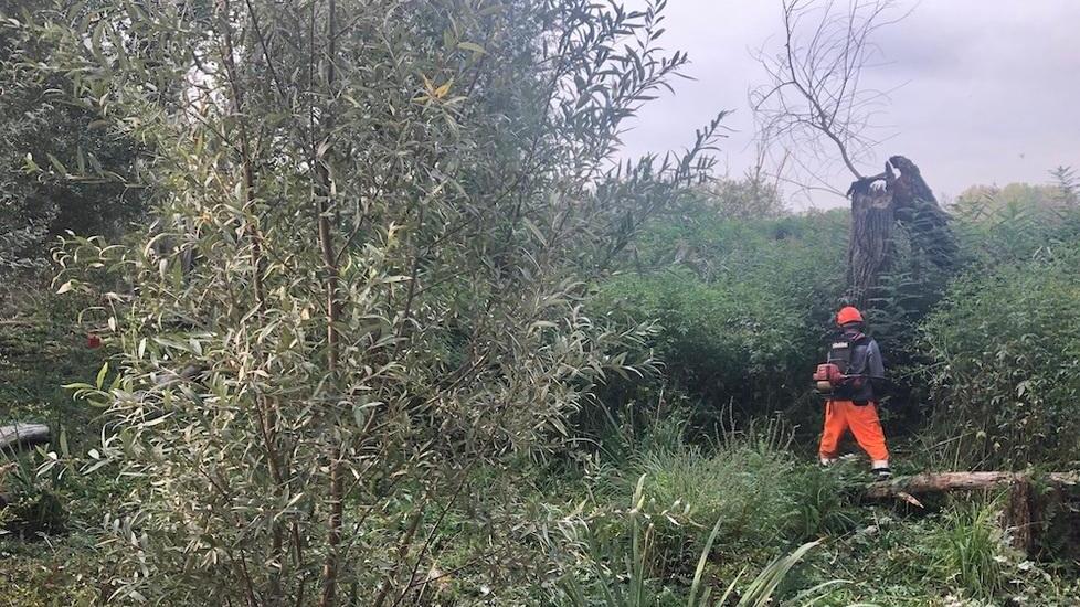 Si farà tabula rasa di erbe infestanti dalla riserva di Sibolla
