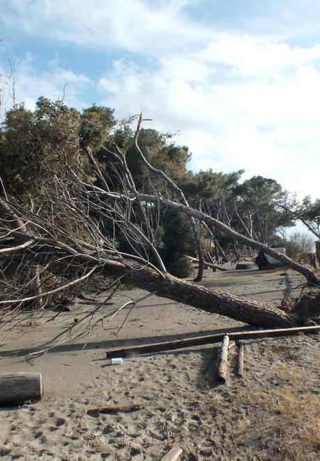 A metà ottobre inizieranno i lavori per ripristinare le dune distrutte 