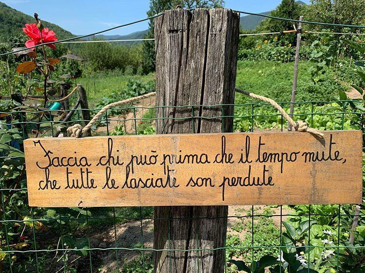 Nel paese dei proverbi: piccoli tesori di saggezza disseminati lungo vie e piazzette 