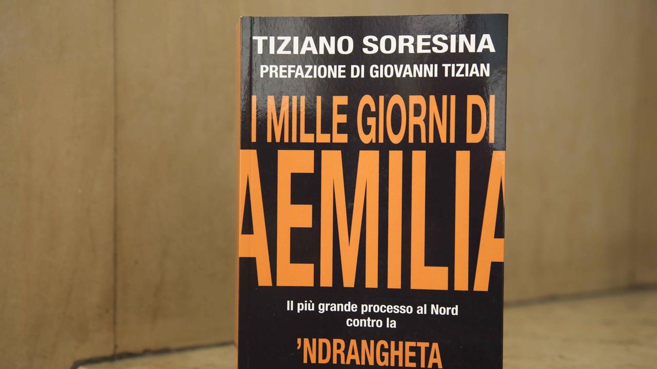 A Luzzara la presentazione del libro "I mille giorni di Aemilia"