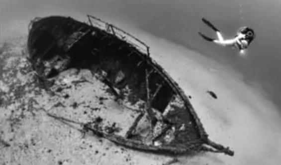 Fotografia subacquea, Cicerchia sul tetto del mondo 