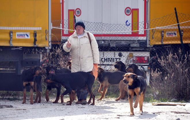 Scontro di perizie sull’autista sbranato 