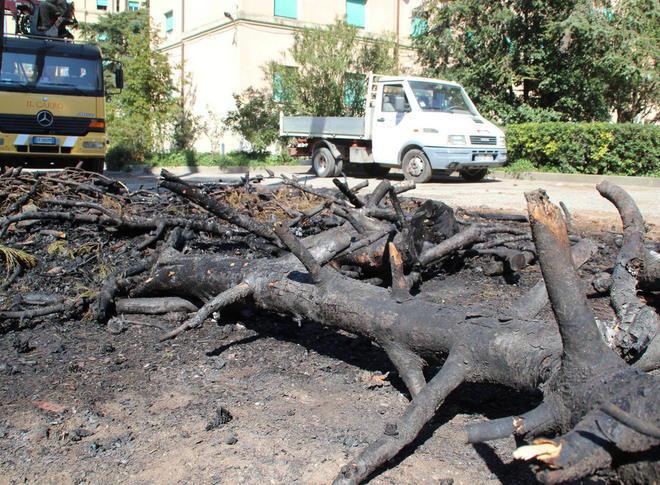 Rogo in via Bruno, fiamme e tanta paura 