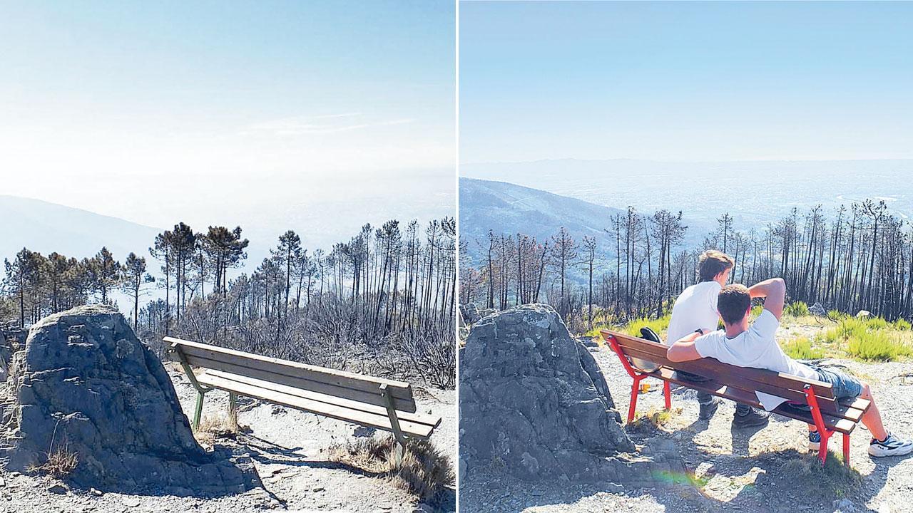 Monte Serra, la nuova vita che si affaccia dalla panchina dell’amore: le 10 foto simbolo