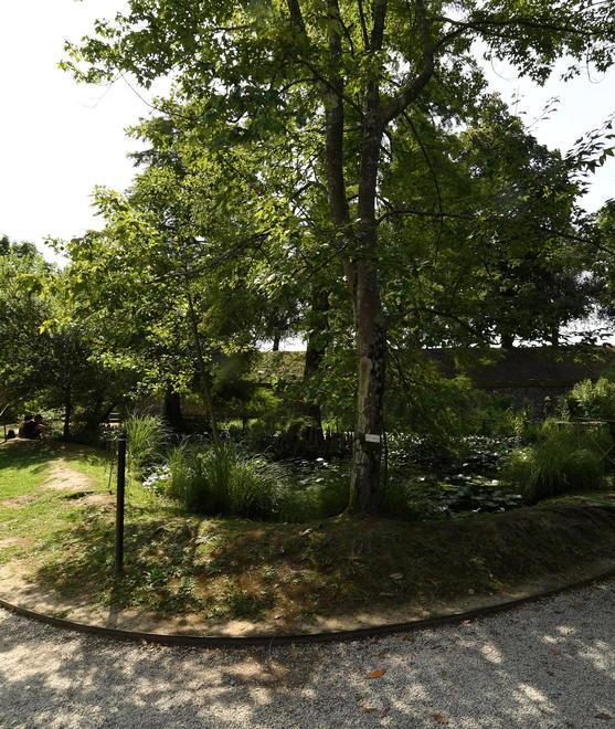 Orto botanico, a ottobre arriva il nuovo curatore