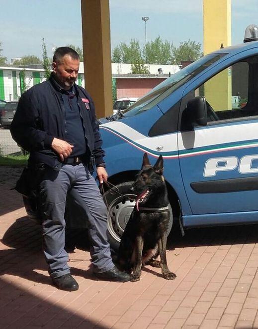 I cani fiutano la droga Trovano fumo nel prato e scoprono spacciatore 