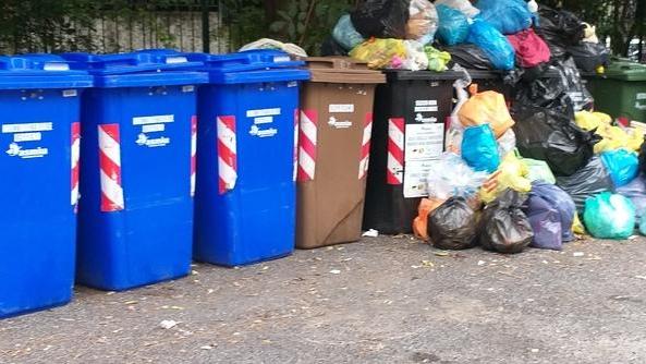 Rifiuti a Massa, ne produciamo 810 chili a testa ma per la differenziata siamo maglia nera