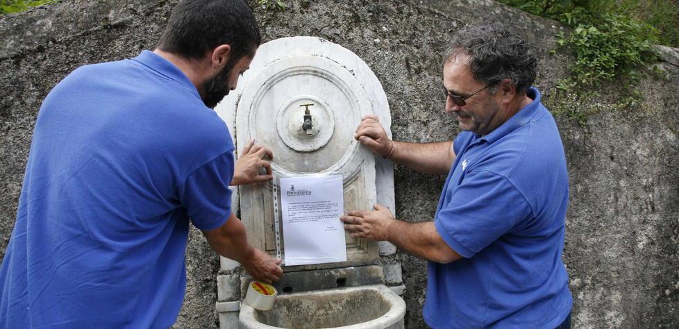 Quella mail sul tallio con cui l’Arpat aveva avvisato Asl e Gaia 