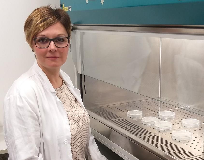 Un conservante per alimenti completamente naturale: ecco le molecole di Camilla 