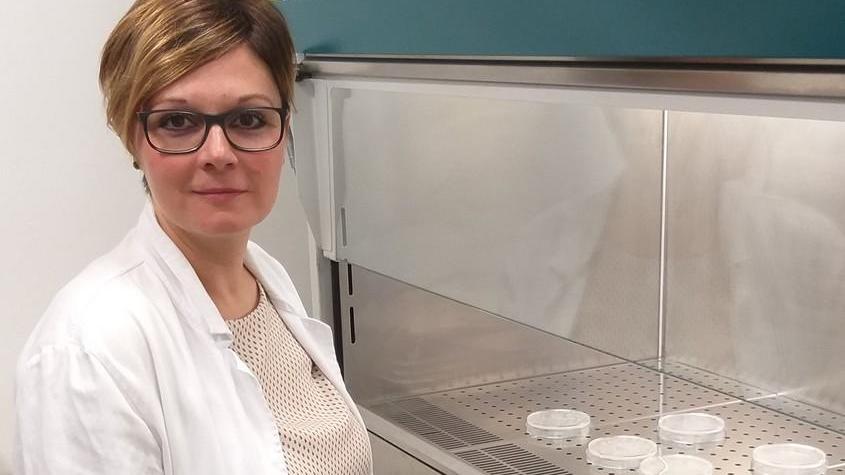 Un conservante per alimenti completamente naturale: ecco le molecole di Camilla