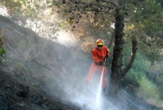Boschi in fiamme Sulla montagna serve l’elicottero 